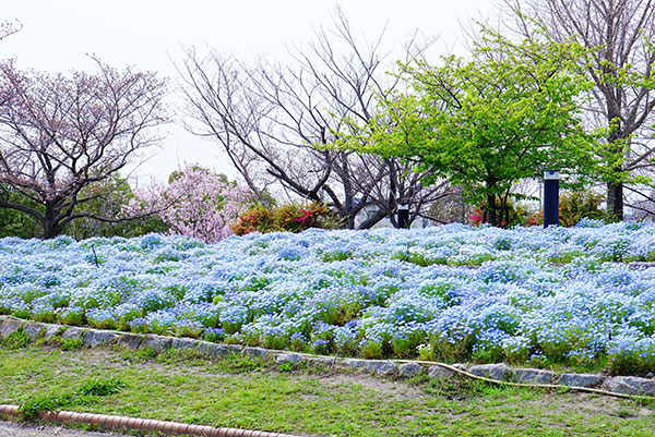 todagawa-ryokuchi