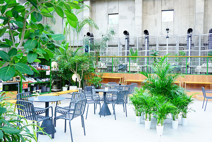 フラリエのクリスタルコート