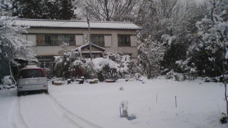f:id:kumamk2:20080203092928j:image