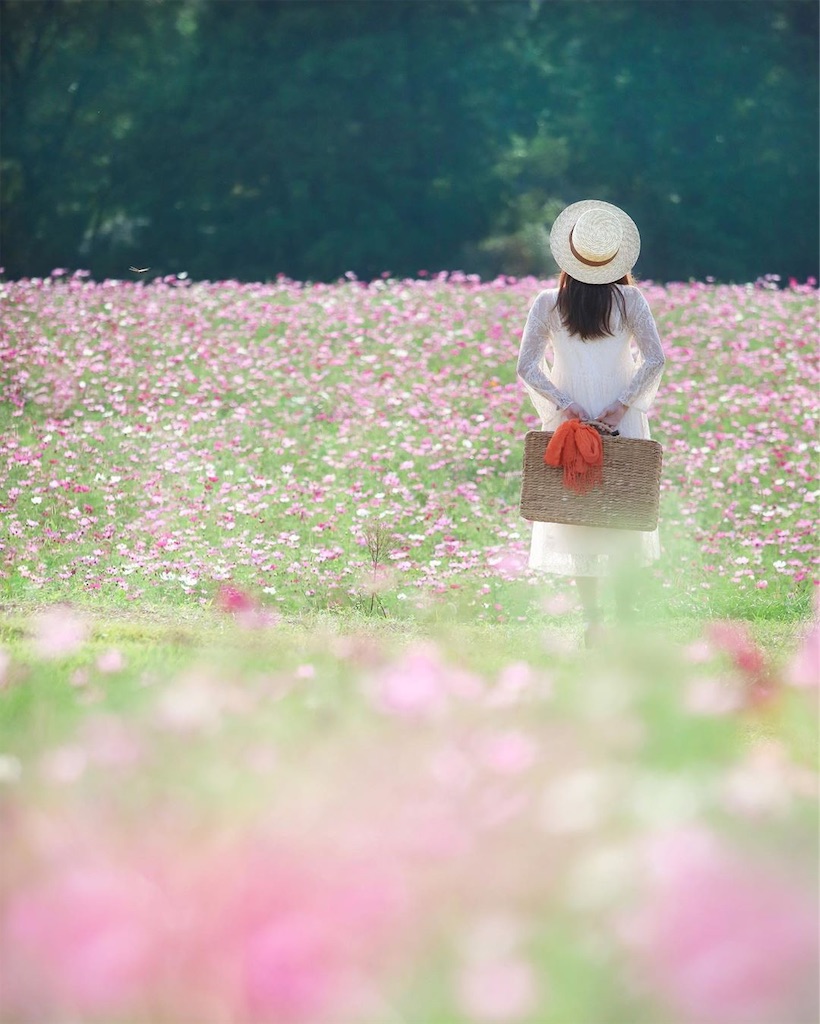 f:id:kumamon_ken:20191002014108j:image f:id:kumamon_ken:20191002014108j:image