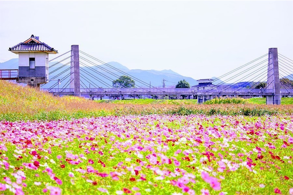 f:id:kumamon_ken:20191103170945j:image f:id:kumamon_ken:20191103170945j:image