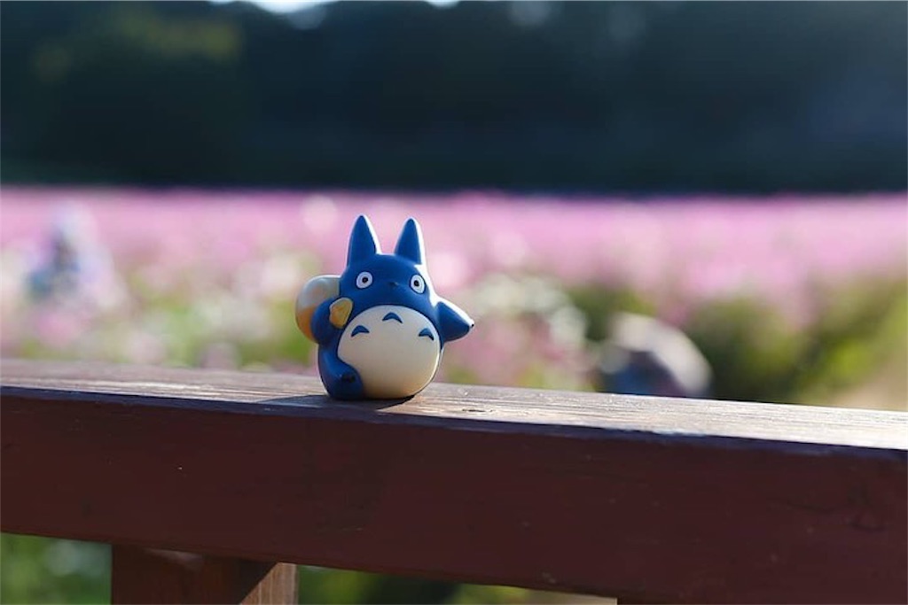 f:id:kumamon_ken:20191103171105j:image f:id:kumamon_ken:20191103171105j:image