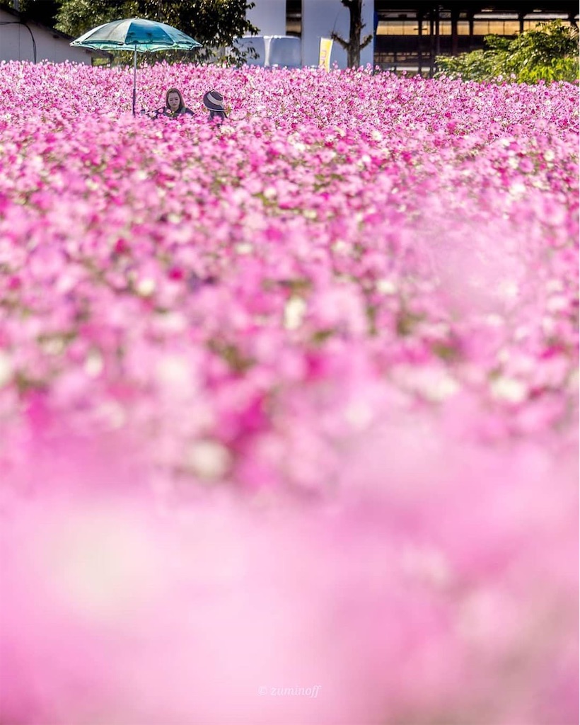 f:id:kumamon_ken:20191103174031j:image f:id:kumamon_ken:20191103174031j:image