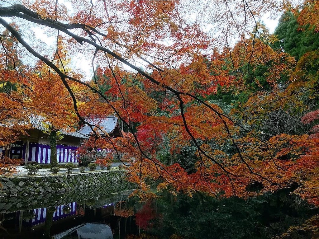 f:id:kumamon_ken:20191206021511j:image f:id:kumamon_ken:20191206021511j:image
