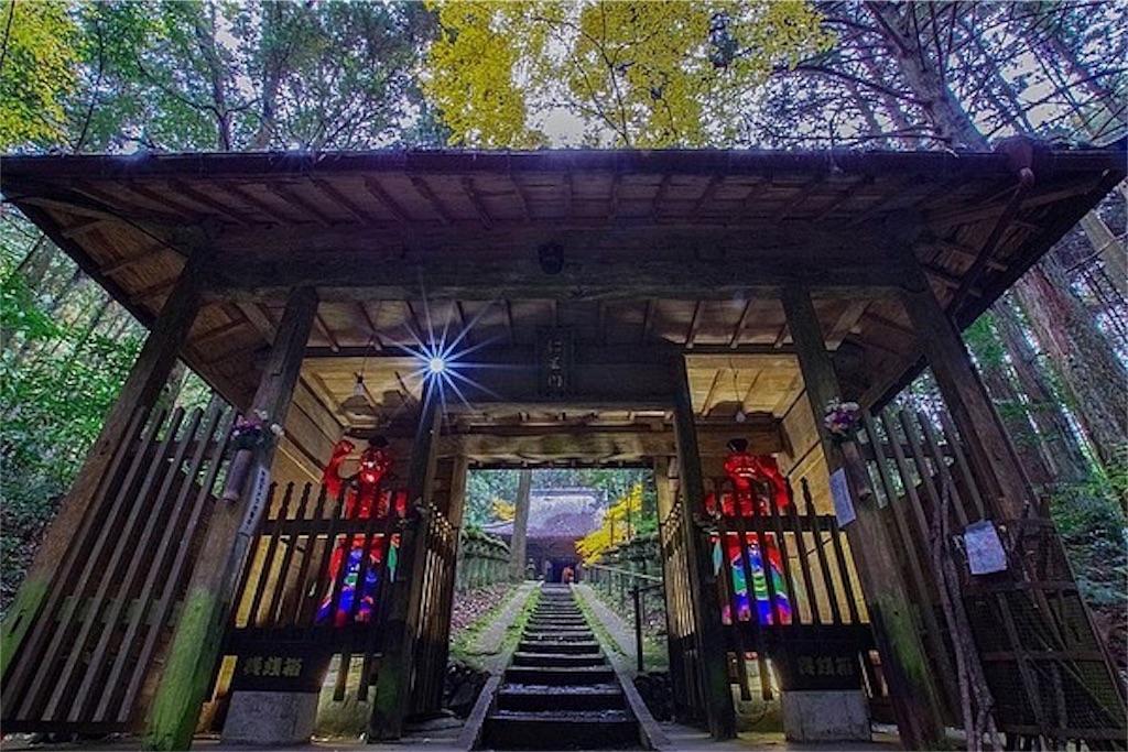 f:id:kumamon_ken:20191206021744j:image f:id:kumamon_ken:20191206021744j:image