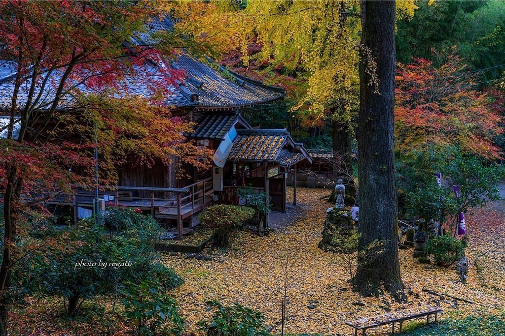 f:id:kumamon_ken:20191206022029j:image f:id:kumamon_ken:20191206022029j:image