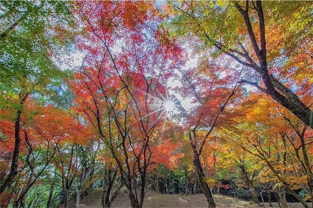 熊本紅葉まとめ くまモン県のはなまっぷ 19年版 くまモン県のブログ 熊本紅葉まとめ くまモン県のはなまっぷ 19年版 くまモン県のブログ