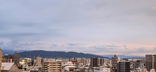 f:id:kumamoto-aso:20250825185458j:image
