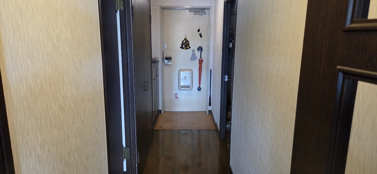 f:id:kumamoto-aso:20260802175352j:image