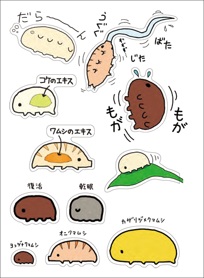 f:id:kumamushisan:20170203113726j:plain