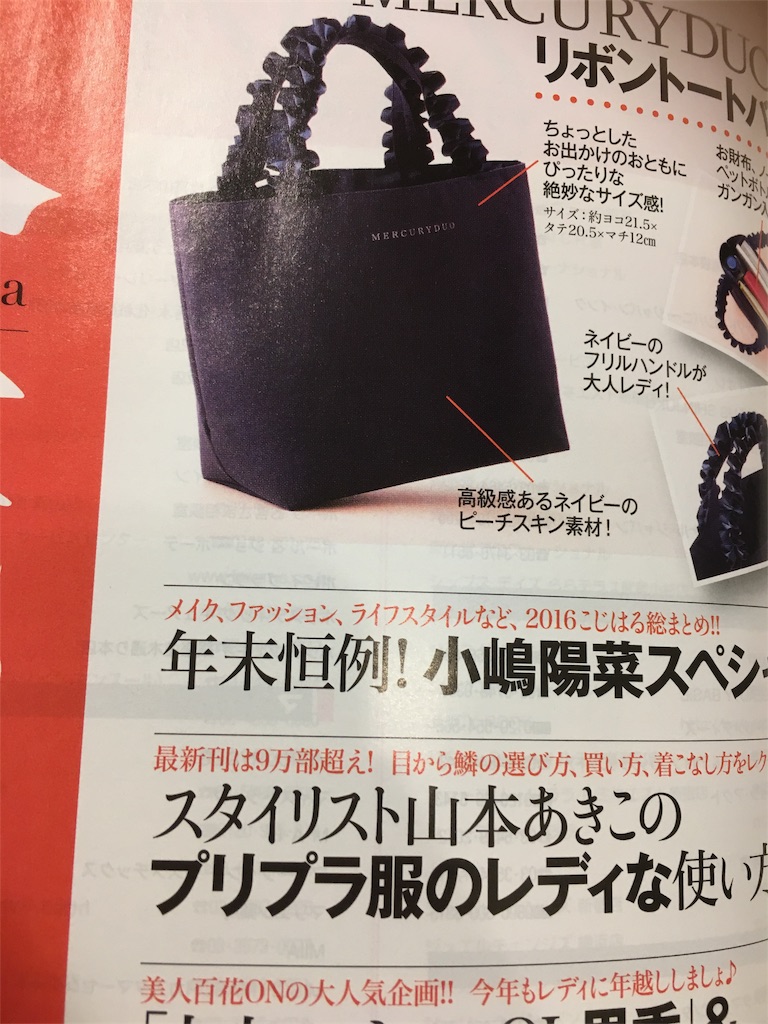 f:id:kumanego:20161114174419j:image