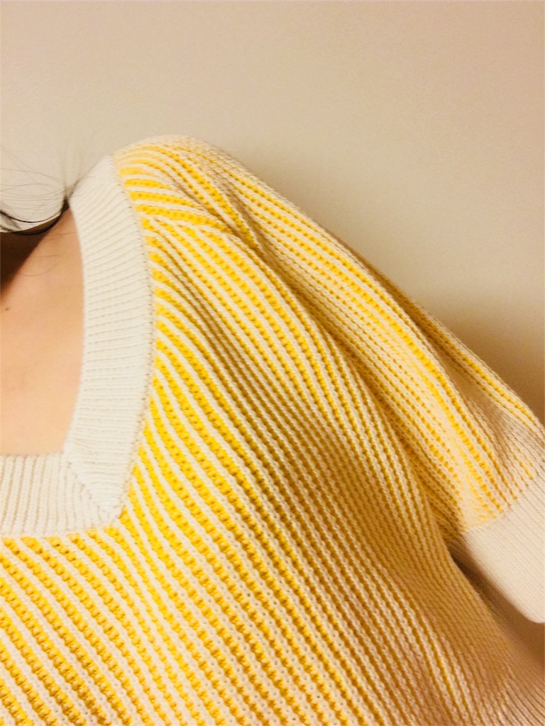 f:id:kumanego:20180131181320j:image