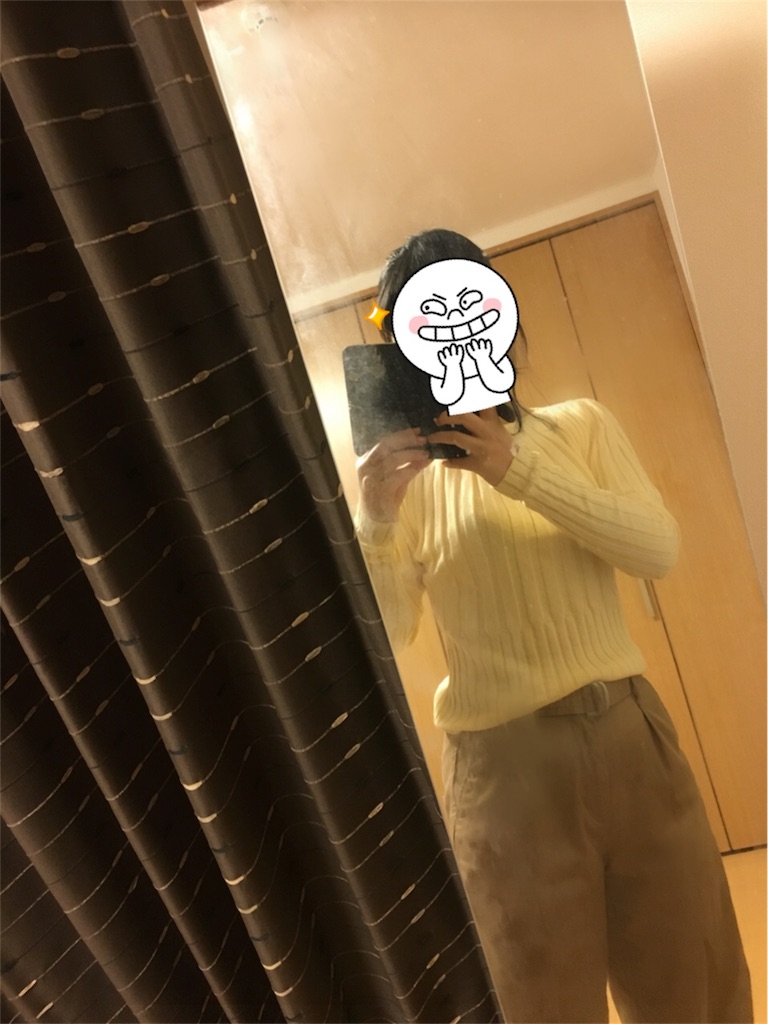 f:id:kumanego:20180131182916j:image