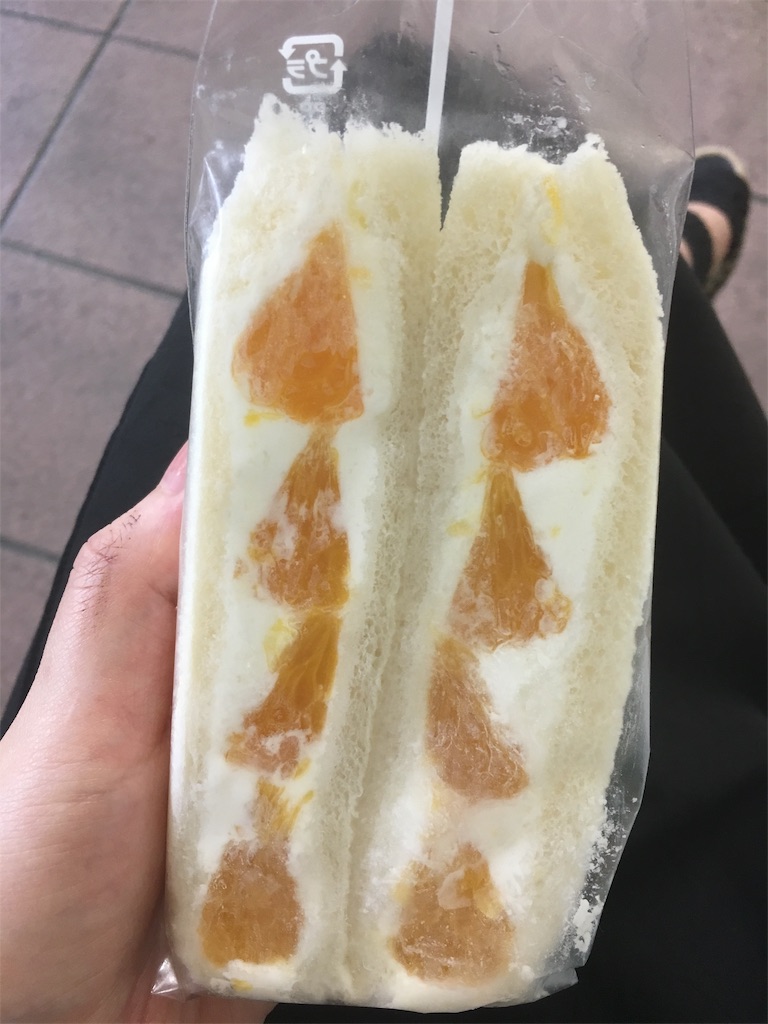f:id:kumanego:20190603185415j:image