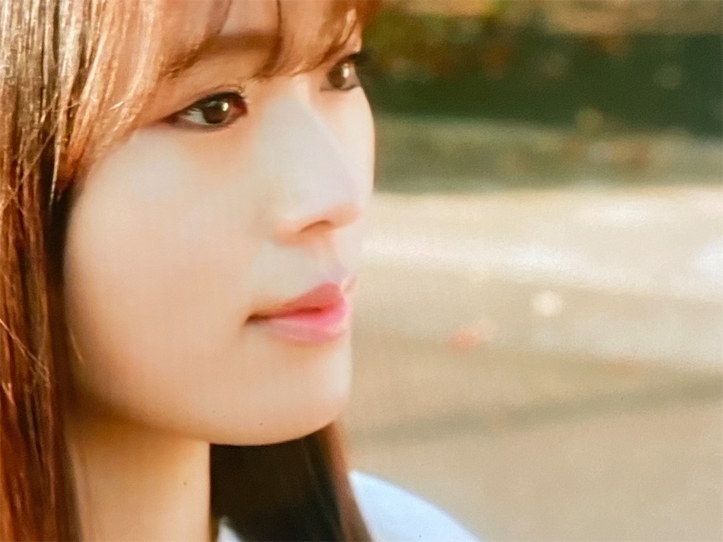 f:id:kumanego:20250319000032j:image