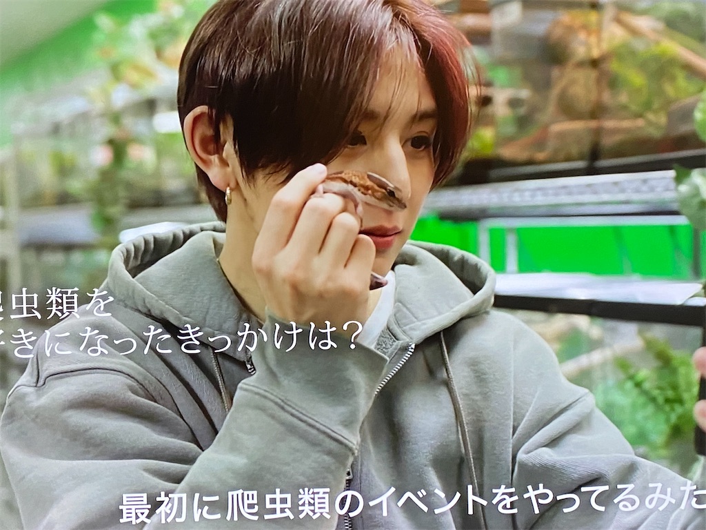 f:id:kumanego:20250322230658j:image