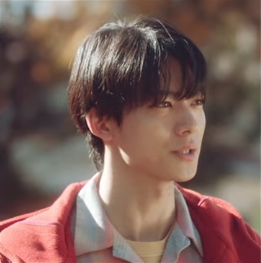 f:id:kumanego:20250325191345j:image