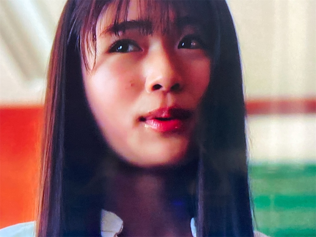 f:id:kumanego:20250326162243j:image