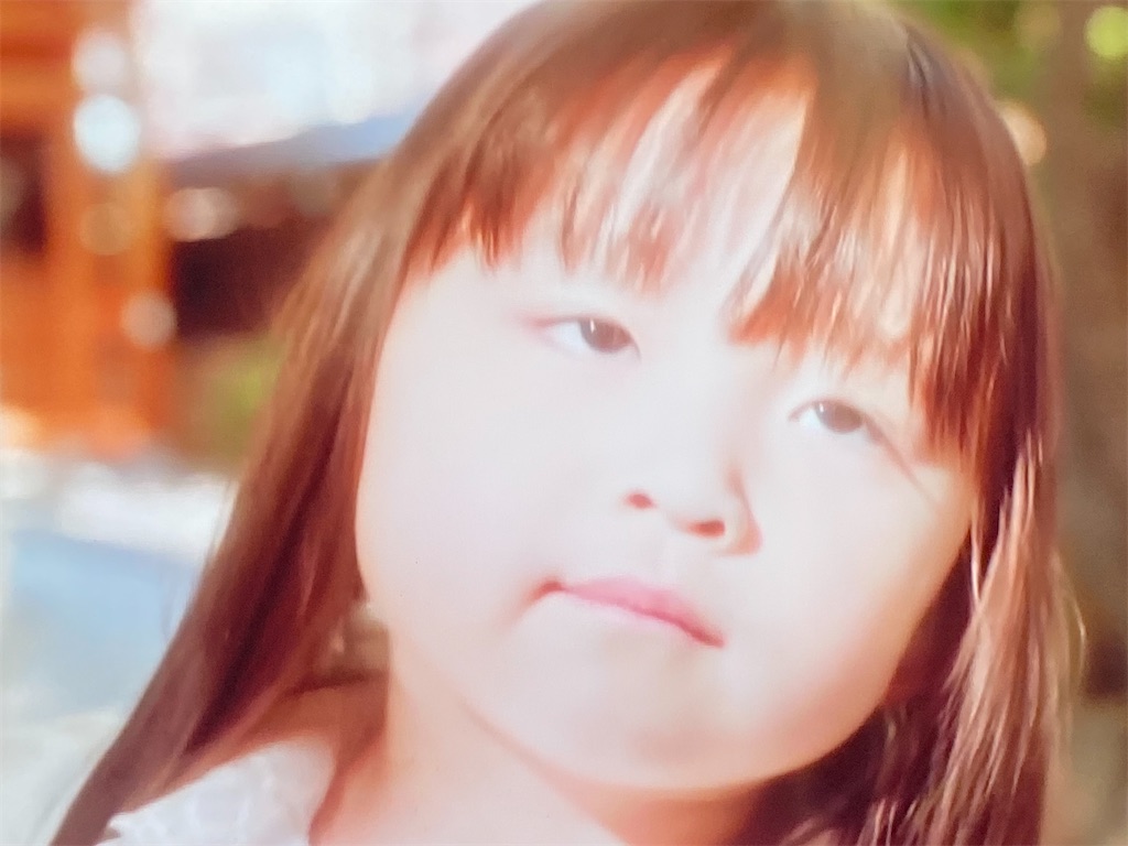 f:id:kumanego:20250326165233j:image