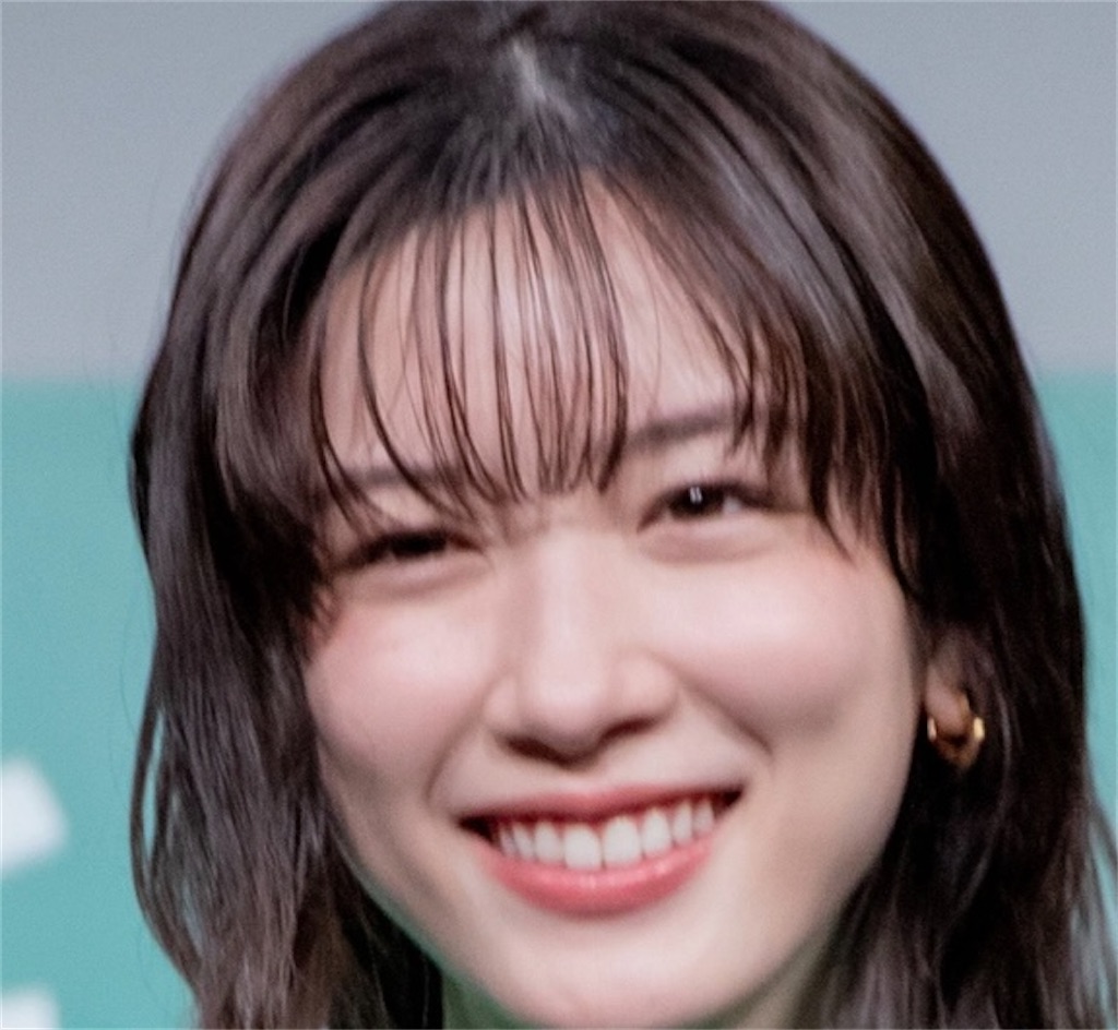 f:id:kumanego:20250524011726j:image