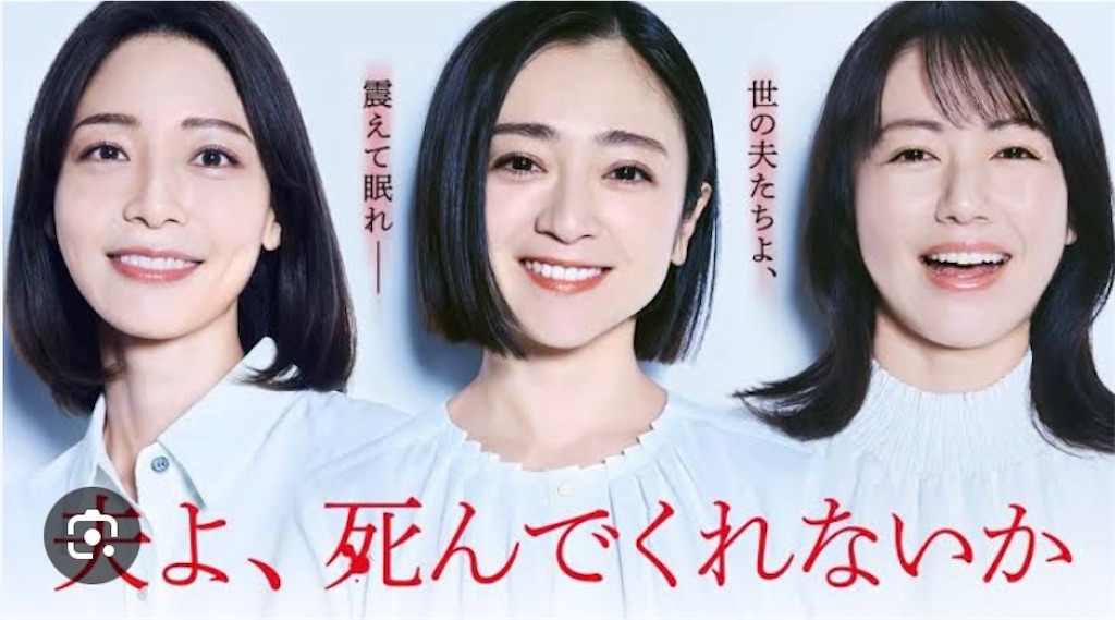 f:id:kumanego:20250621230425j:image