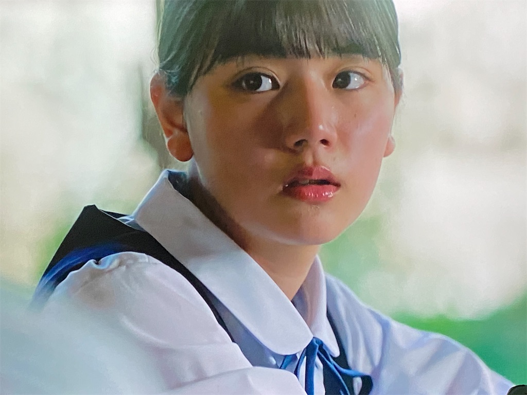 f:id:kumanego:20250711012452j:image