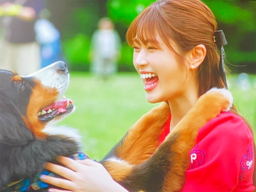 f:id:kumanego:20250719232807j:image