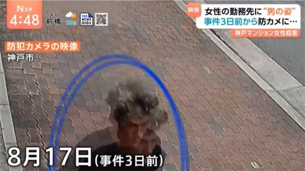 f:id:kumanego:20250828144355j:image