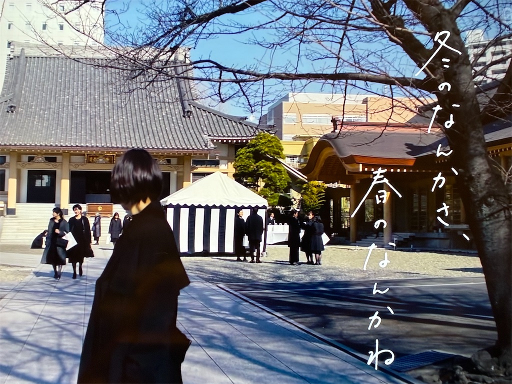 f:id:kumanego:20260304220252j:image