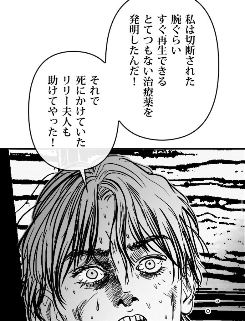 f:id:kumanego:20260307021947j:image