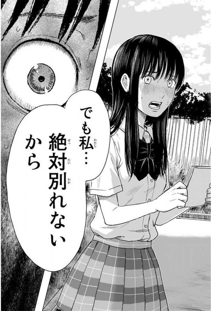 f:id:kumanego:20260424234126j:image