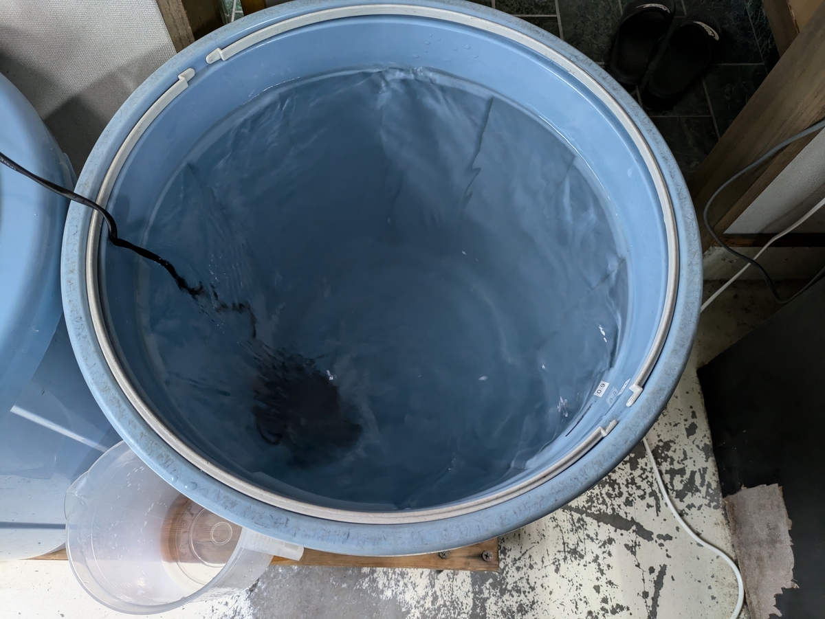 人工海水が溶け込んだ透明の水