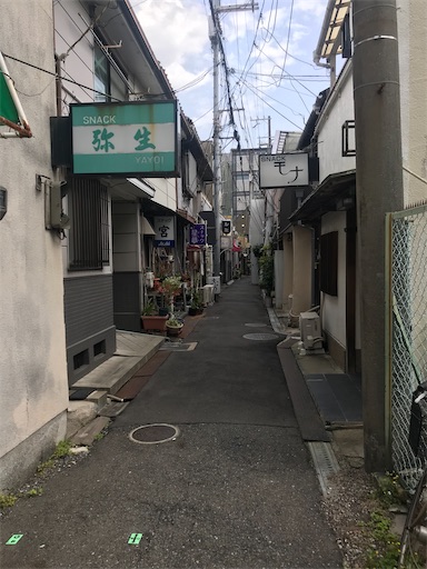 f:id:kumanonchu:20210519162912j:image