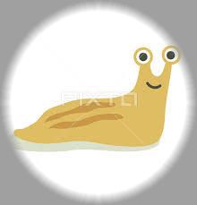 ナメクジ に砂糖をかけたら Kumanoritan S Blog