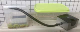 燻製器のパイプをタッパの隙間に差し入れて、燻製器のチップに着火します