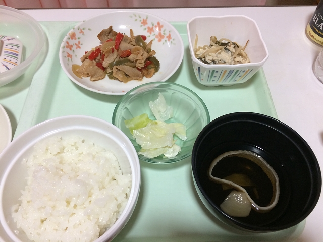 f:id:kumaoonore:20190111181338j:plain f:id:kumaoonore:20190111181338j:plain
