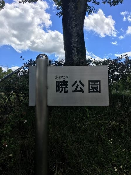 f:id:kumaoooo:20190730181542j:plain f:id:kumaoooo:20190730181542j:plain