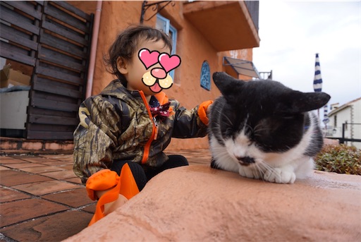 f:id:kumaopon:20200127020459j:image f:id:kumaopon:20200127020459j:image