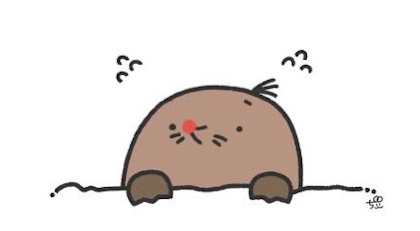 f:id:kumapptan:20210204021403j:image