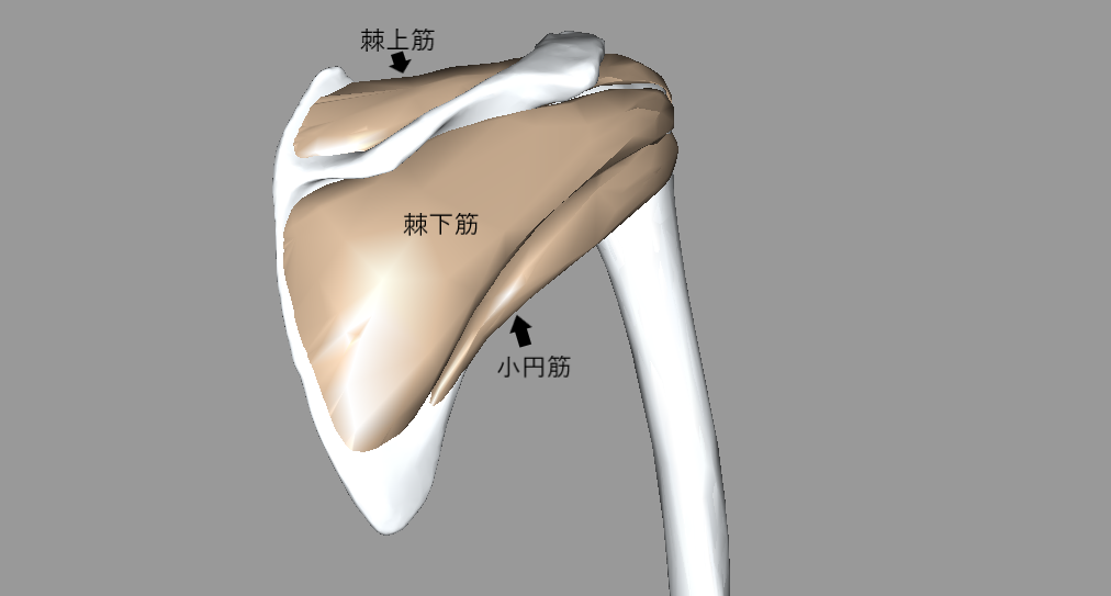 f:id:kumapt:20190804213353p:plain