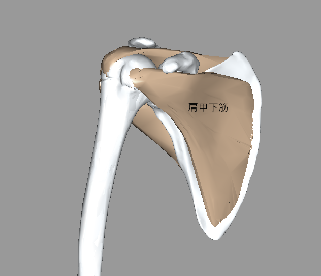 f:id:kumapt:20190804213625p:plain