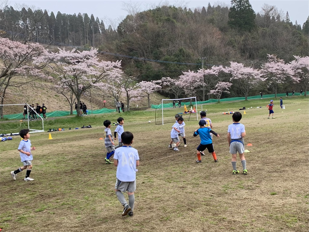 f:id:kumaradona:20210331110854j:image