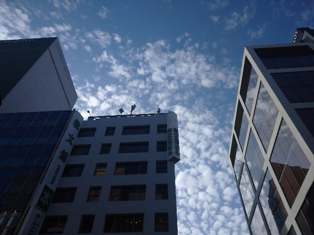 f:id:kumarihaami:20260419155542j:image