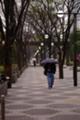 [雨][新宿][*PENTAX-FA 80-200mm F2.8Star ED]