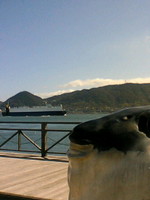 f:id:kumark:20070306135327j:image f:id:kumark:20070306135327j:image
