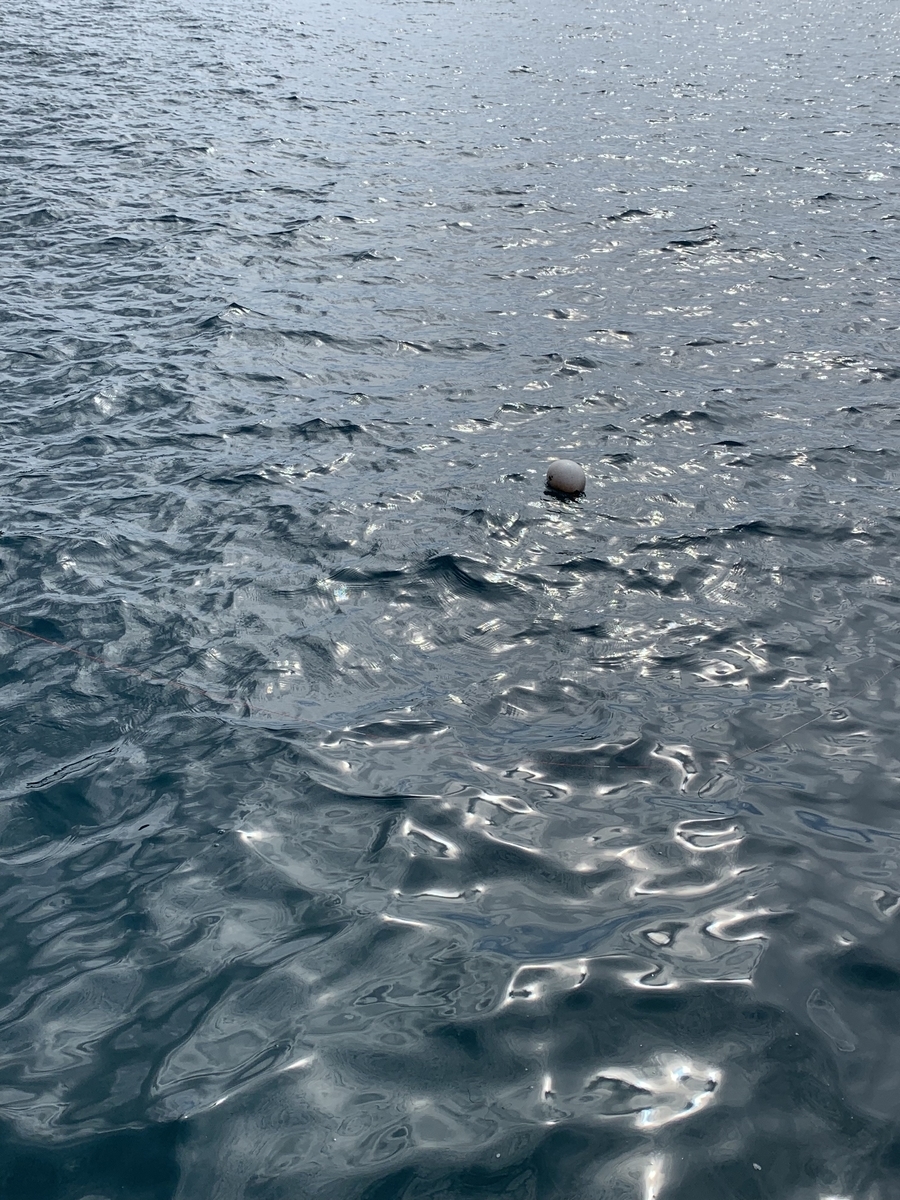 f:id:kumasakanana:20191217130509j:plain