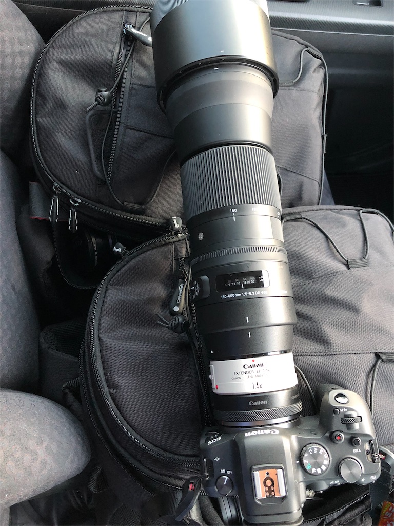 Amazon.com : Sigma 150-600mm F5-6.3 Contemporary DG OS HSM