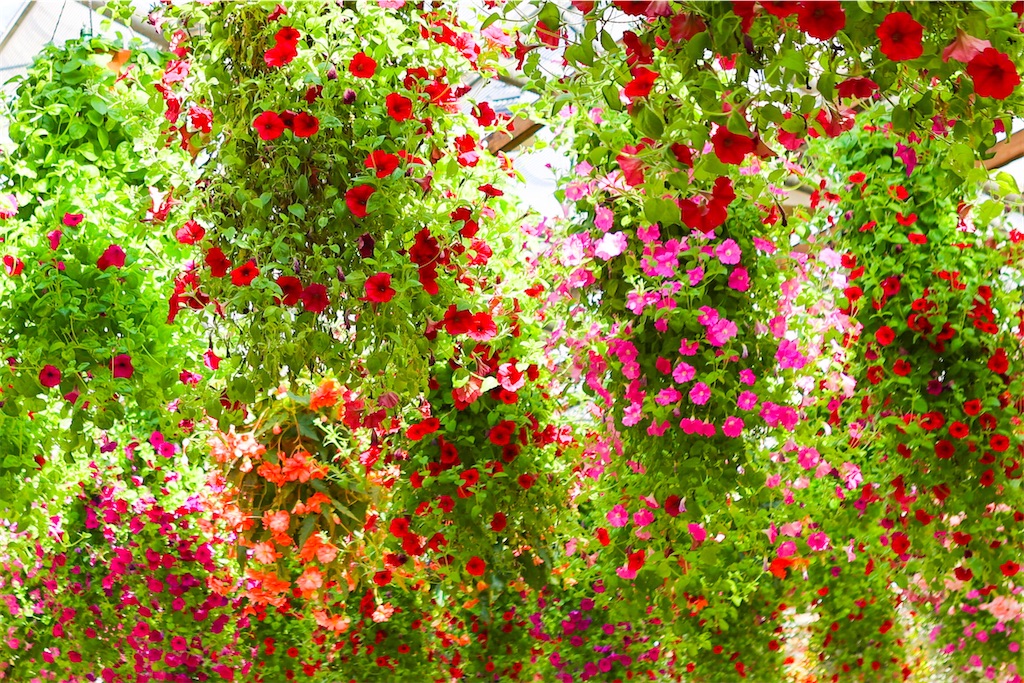 f:id:kumasan01:20220224200930j:image f:id:kumasan01:20220224200930j:image
