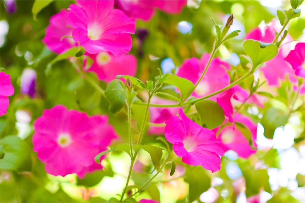 f:id:kumasan01:20220224200938j:image f:id:kumasan01:20220224200938j:image
