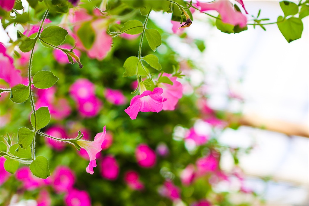f:id:kumasan01:20220224200945j:image f:id:kumasan01:20220224200945j:image
